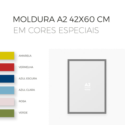 Moldura A2 (42x60cm)