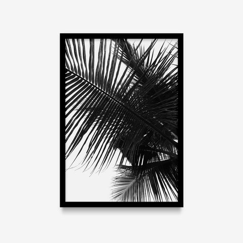 Plantas - Floral Deco 3