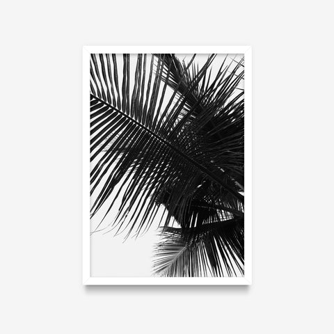 Plantas - Floral Deco 3