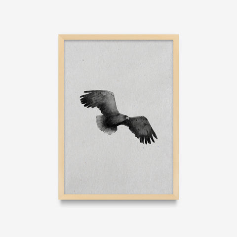 Spirit Animals - Falcon