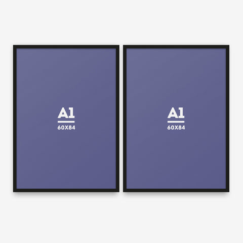 Kit 2A1