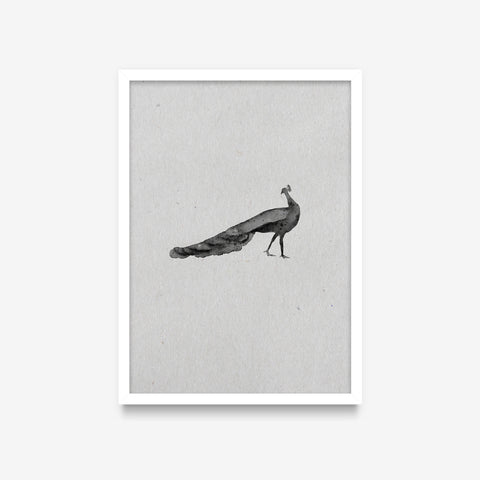 Spirit Animals - Peacock