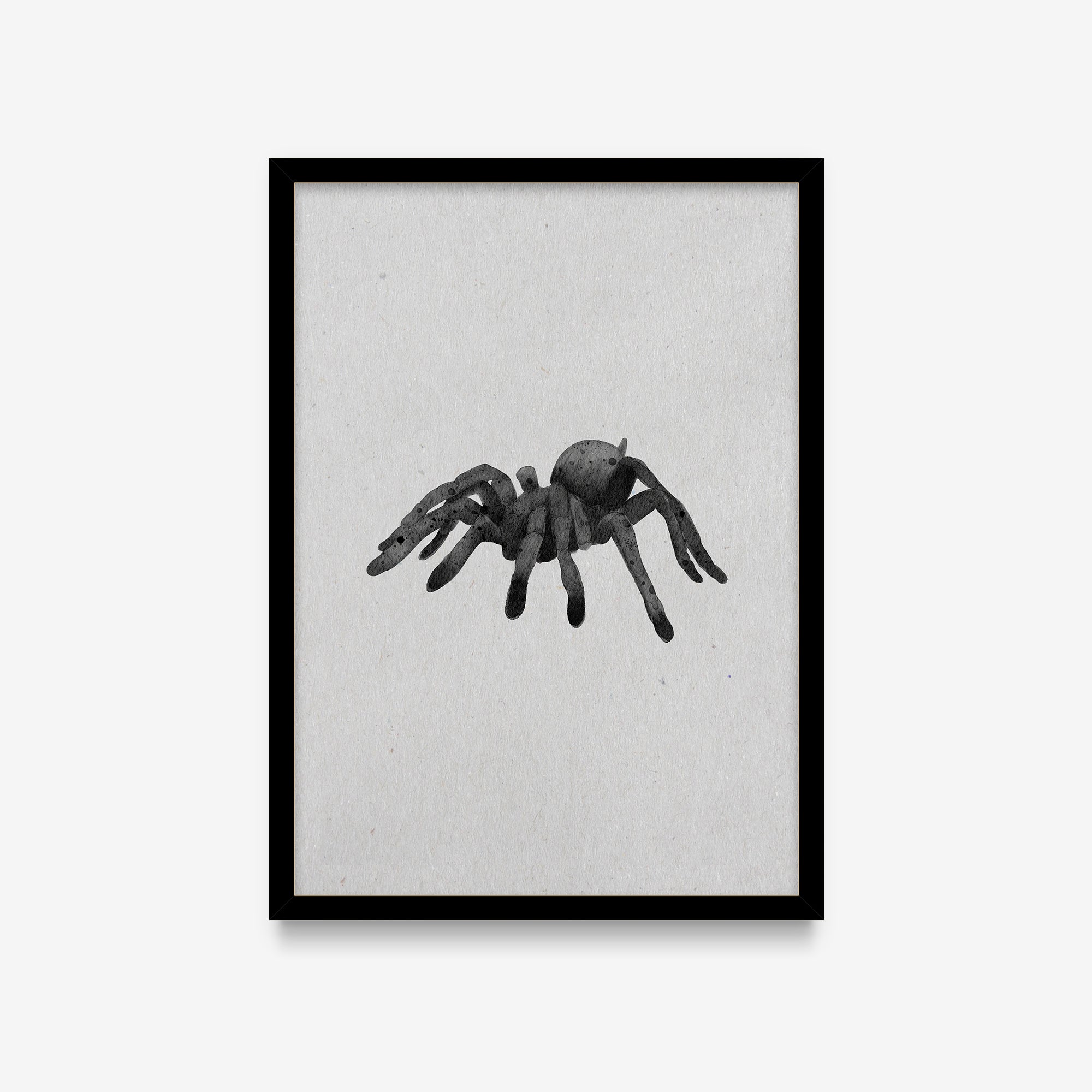 Spirit Animals - Spider