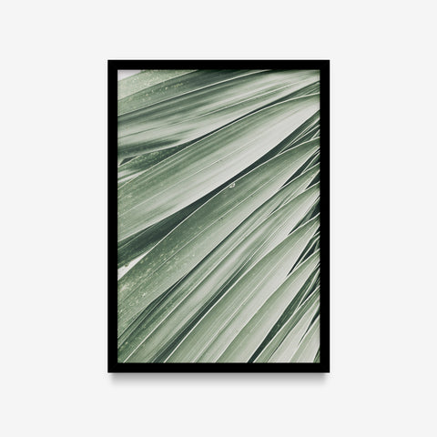Plantas - Floral Deco 6