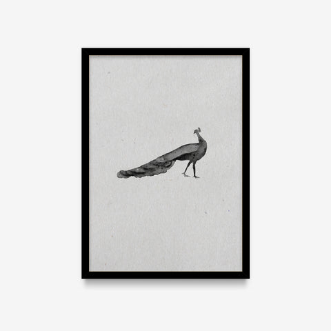 Spirit Animals - Peacock