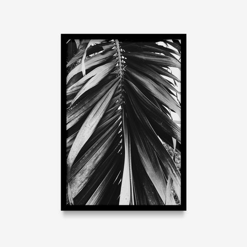 Plantas - Floral Deco 12