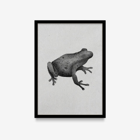 Spirit Animals - Frog