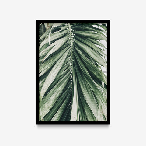 Plantas - Floral Deco 10