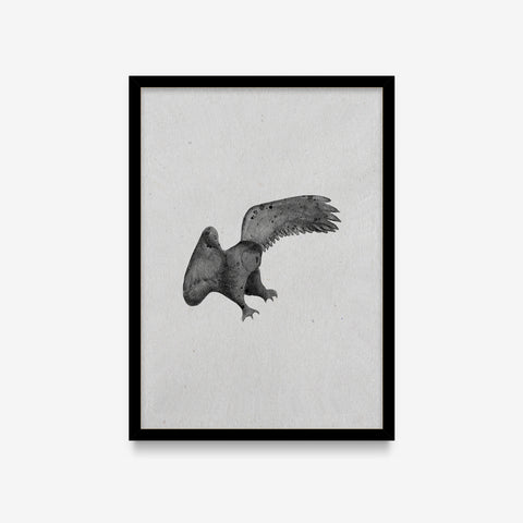 Spirit Animals - Owl
