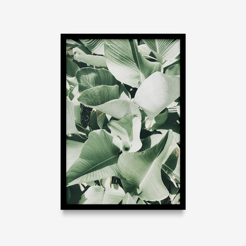 Plantas - Floral Deco 2