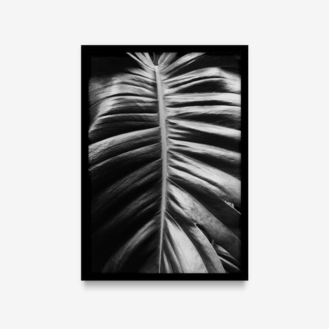 Plantas - Floral Deco 4