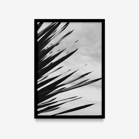 Plantas - Floral Deco 7
