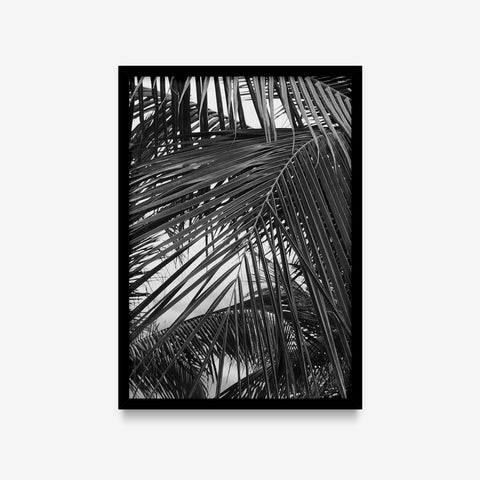 Plantas - Floral Deco 8