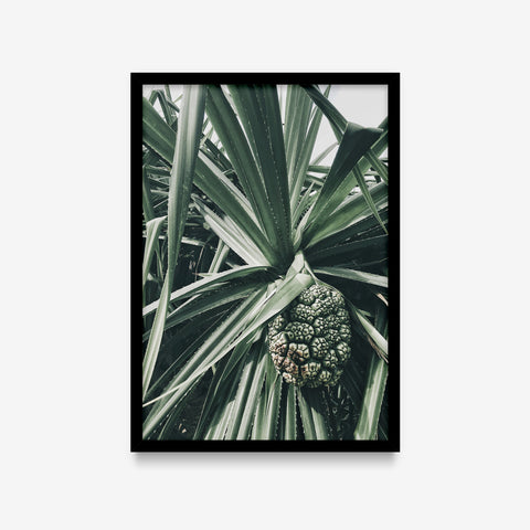 Plantas - Floral Deco 9