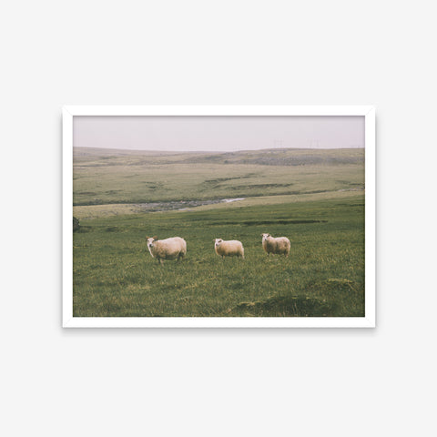 Paisagens - Pasto