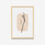 Ilustração - Feminino - Body