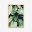 Plantas - Folhas duas cores