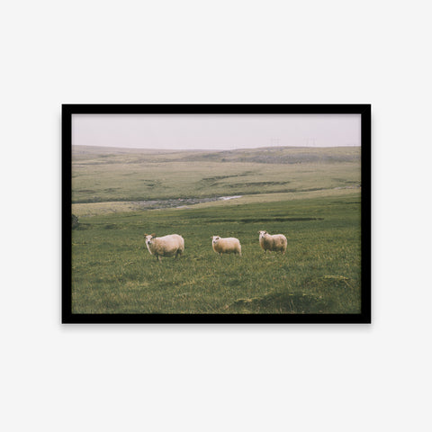 Paisagens - Pasto