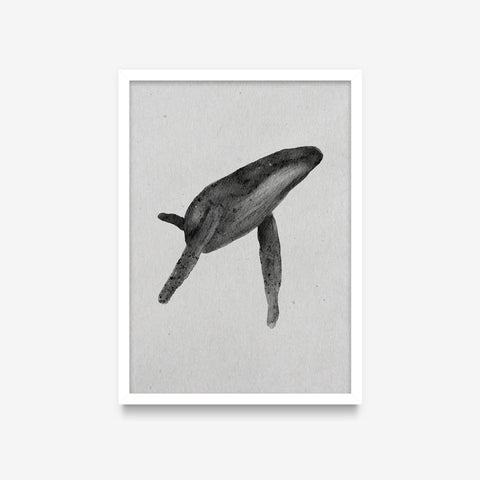 Spirit Animals - Whale