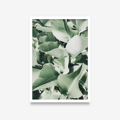 Plantas - Floral Deco 2