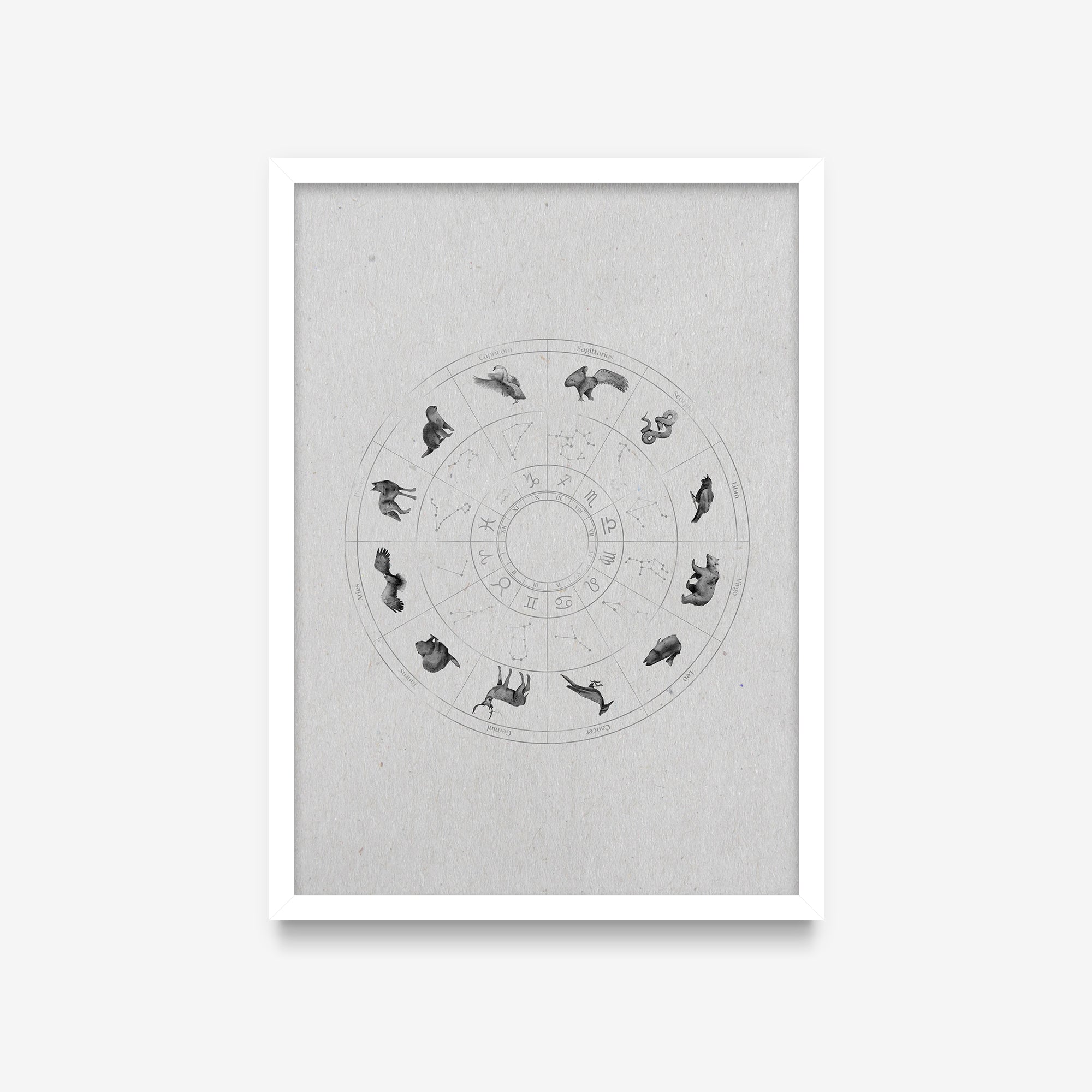 Spirit Animals - Zodiac Spirit Animals