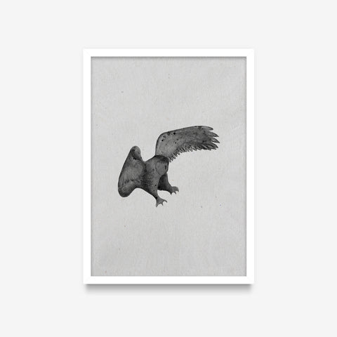 Spirit Animals - Owl