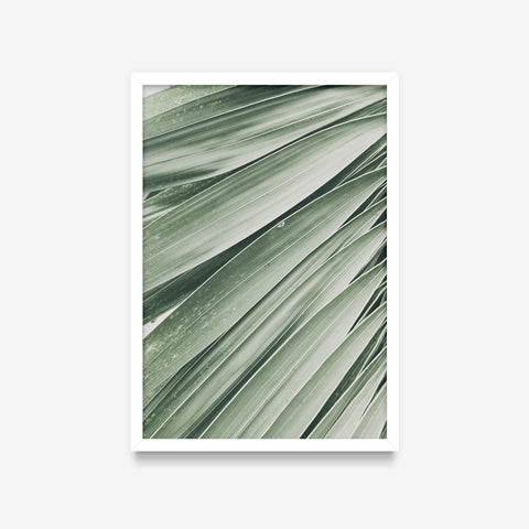 Plantas - Floral Deco 6