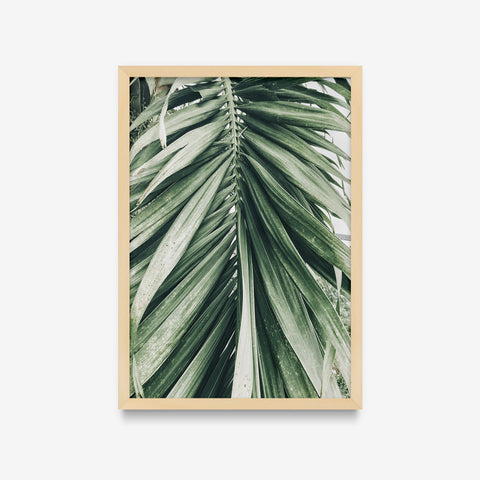 Plantas - Floral Deco 10