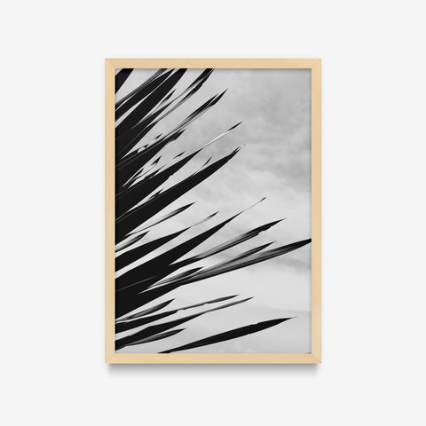 Plantas - Floral Deco 7