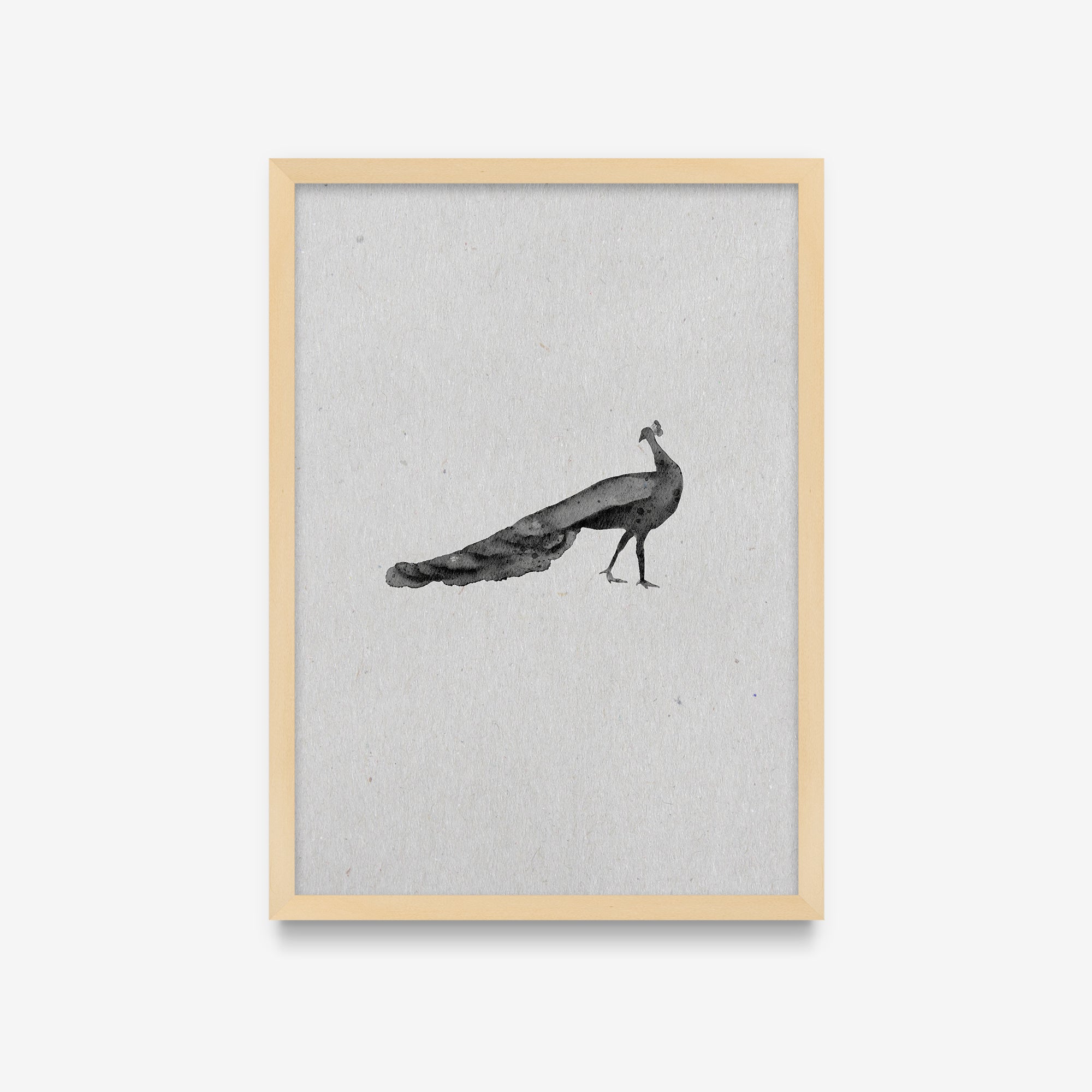 Spirit Animals - Peacock