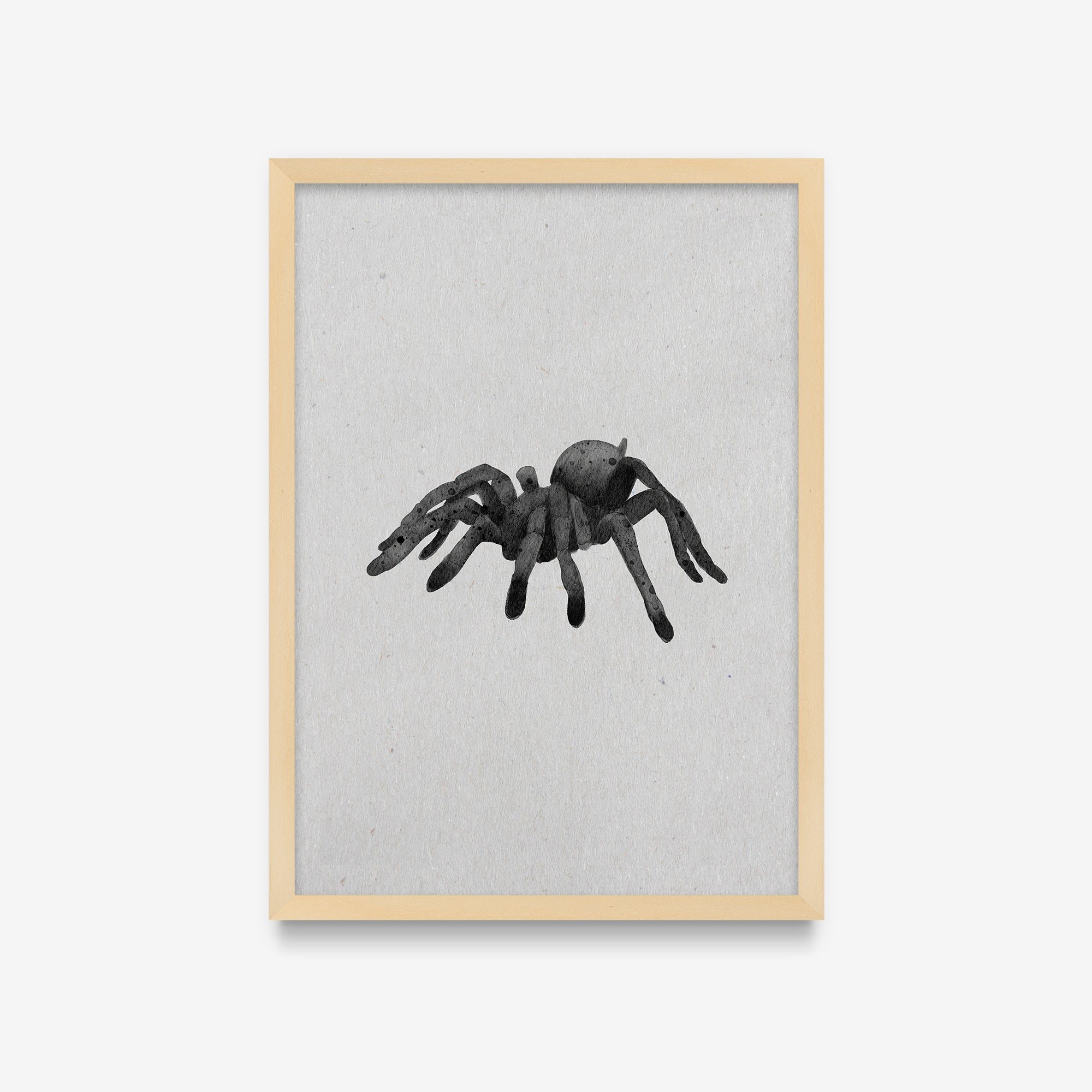 Spirit Animals - Spider