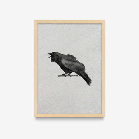 Spirit Animals - Raven