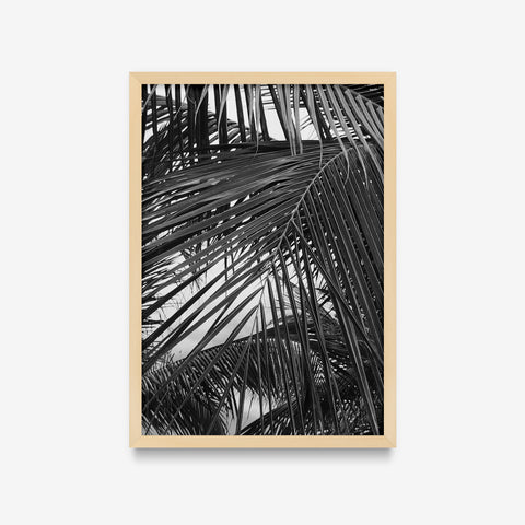 Plantas - Floral Deco 8