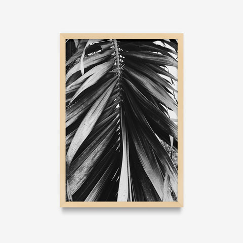 Plantas - Floral Deco 12