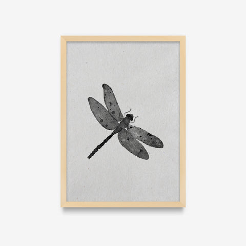 Spirit Animals - Dragonfly