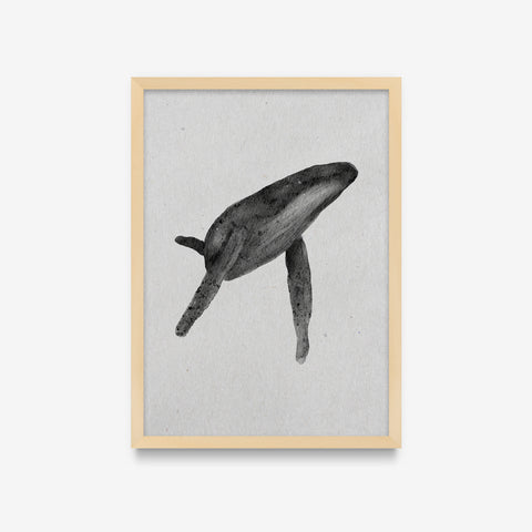 Spirit Animals - Whale
